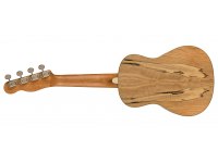 Fender Zuma Exotic Concert Ukulele - SM