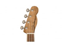 Fender Zuma Exotic Concert Ukulele - SM