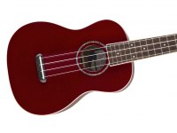 Fender Zuma Concert Ukulele - CAR