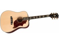 Gibson Firebird