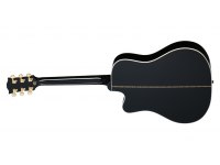 Gibson Songwriter EC Custom