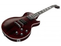 Gibson Les Paul Signature Player Plus 2018 - WR