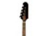 Gibson Nikki Sixx Thunderbird