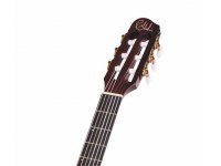 Godin ACS-SA Nylon - BK