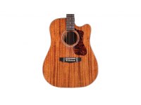 Guild D-120CE