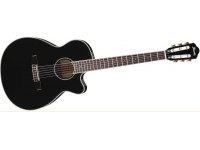 Ibanez AEG10NII-BK