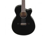 Ibanez AEG10NII-BK
