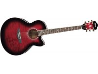 Ibanez AEL20E-TRS