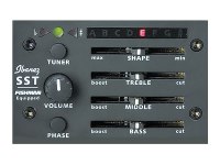 Ibanez AEL20E-TRS