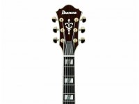 Ibanez AF151 - AWB Artstar