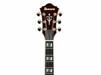 Ibanez AF155 - AWB Artstar