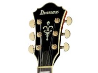 Ibanez AG95QA - DBS