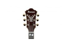 Ibanez AS113 Artstar - BS