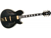 Ibanez PM100 - BK Pat Metheny Signature