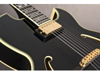 Ibanez PM100 - BK Pat Metheny Signature