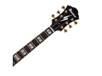 Ibanez PM100 - BK Pat Metheny Signature