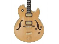 Ibanez PM120 - NT Pat Metheny Signature