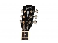 Gibson Kirk Hammett Raven