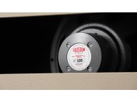 Marshall Celestion 100 Limited Edition