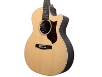 Martin GPCPA4 Rosewood