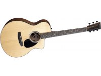 Martin SC-10E