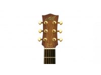 Maton EMD6 Diesel Signature