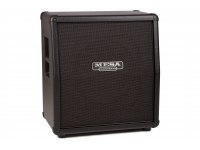 Mesa Boogie 1x12 Mini Rectifier 19 Slant