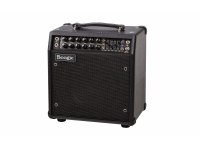 Mesa Boogie Mark Five: 25 1x10 Combo