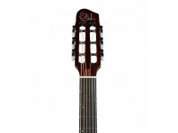 Godin Multiac Steel Duet Ambiance - SB