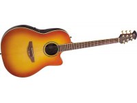 Ovation CC24S-TTB