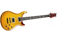 Paul Reed Smith 10th Anniversary McCarty 594 - MCS