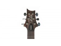 Paul Reed Smith Custom 24 - MCS