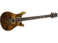 Paul Reed Smith Custom 24 - YTG