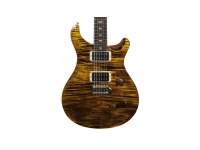 Paul Reed Smith Custom 24 - YTG