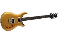 Paul Reed Smith SE DGT - GT