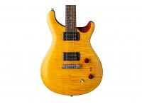 Paul Reed Smith SE Paul's Guitar - AM