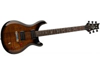 Paul Reed Smith SE Paul's Guitar - BG