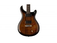 Paul Reed Smith SE Paul's Guitar - BG