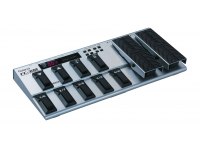 Roland FC-300