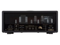 Suhr Hedgehog 50 Head