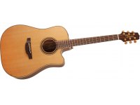 Takamine P3DC