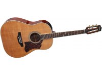 Takamine CRN-TS1 Thermal Top