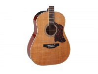 Takamine CRN-TS1 Thermal Top