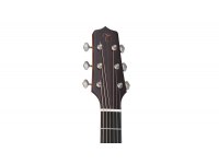 Takamine EF360S-TT Thermal Top