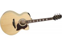 Takamine EG523SC