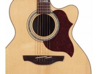 Takamine EG523SC
