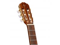 Takamine GC5CE - NA