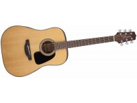 Takamine GD10