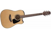 Takamine GD10CE - NS