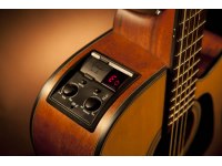 Takamine GD10CE - NS
